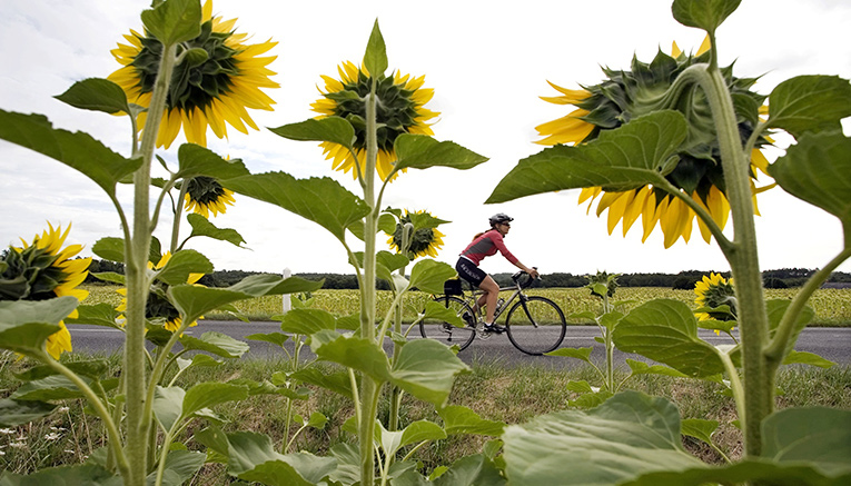 Blvi-loire-valley-biking-2